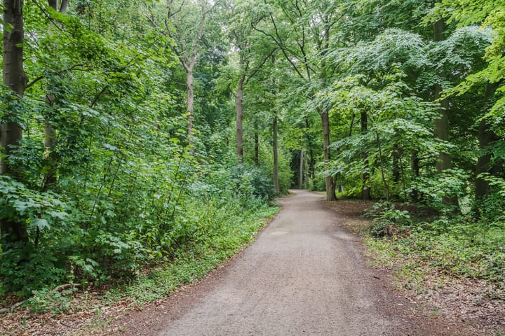 Foto 66 van Roelofsstraat 25