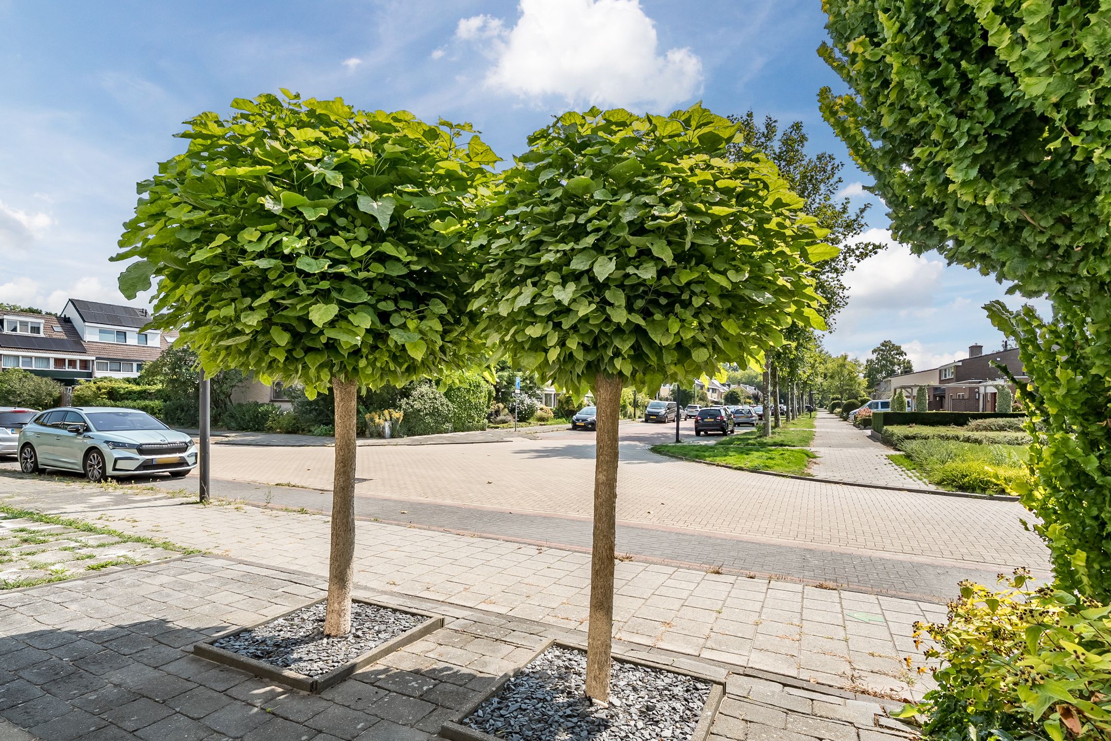 Foto 33 van Rozenlaan 5