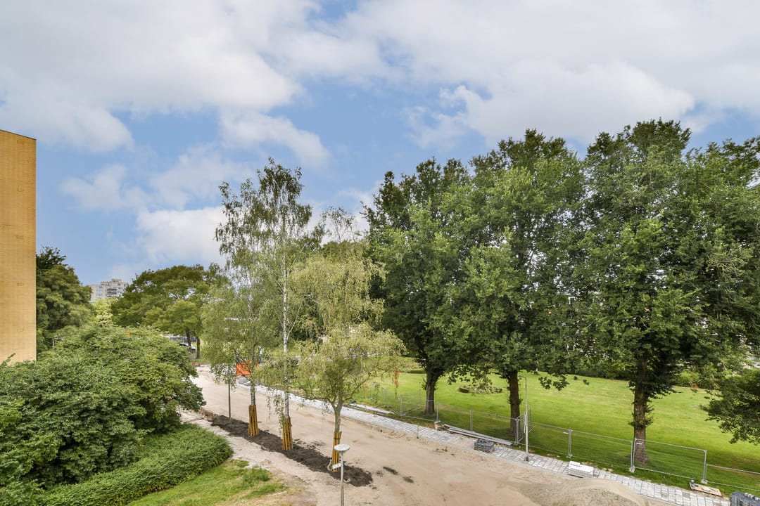 Foto 11 van Rozenoord 65