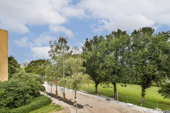 Foto 11 van Rozenoord 65