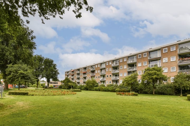 Foto 24 van Rozenoord 65