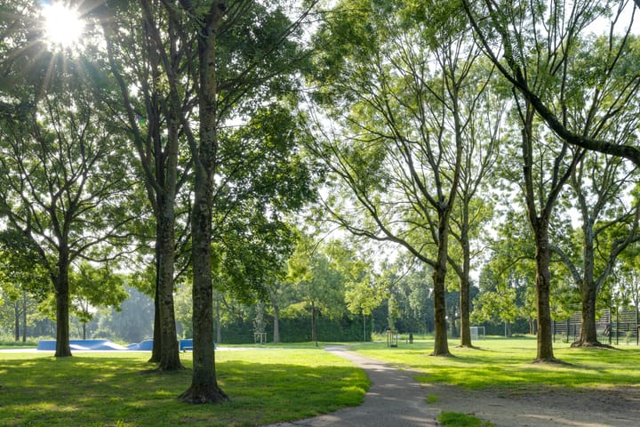 Foto 43 van Boterbloem 1-C