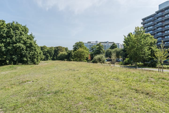 Foto 51 van Else Mauhslaan 97