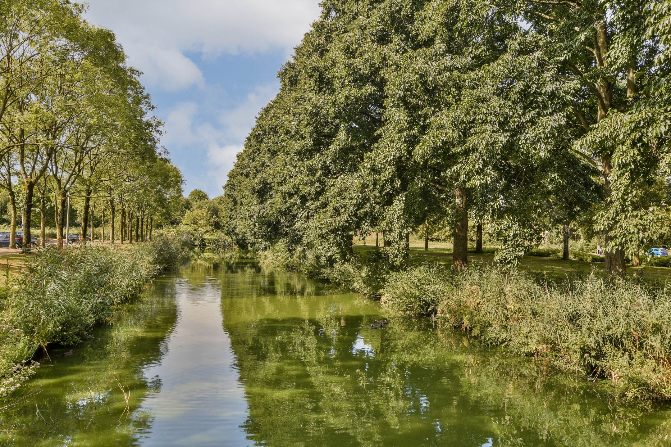 Foto 24 van Andersensingel 88