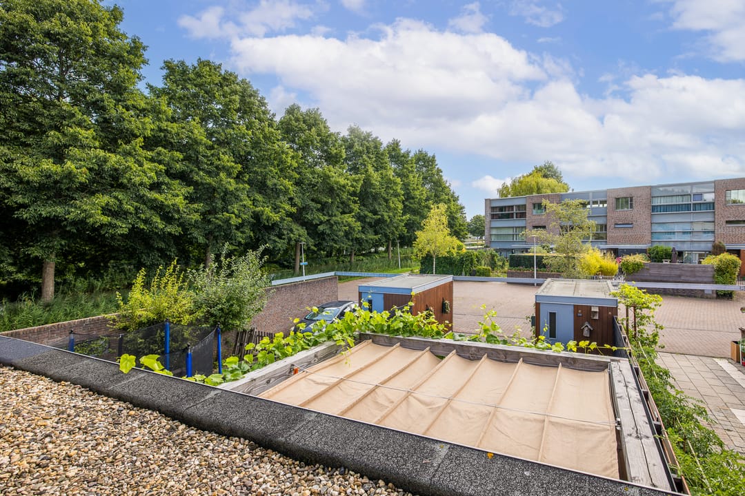 Foto 31 van Leo Fallplantsoen 53