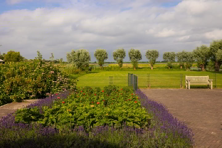 Foto 45 van Demmerik 39