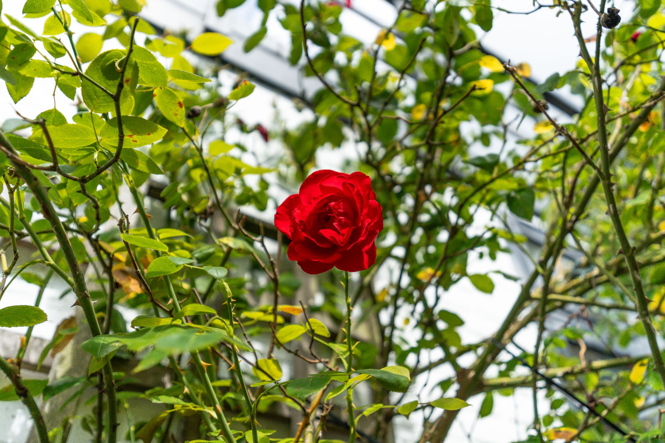 Foto 45 van Zuidkade 190