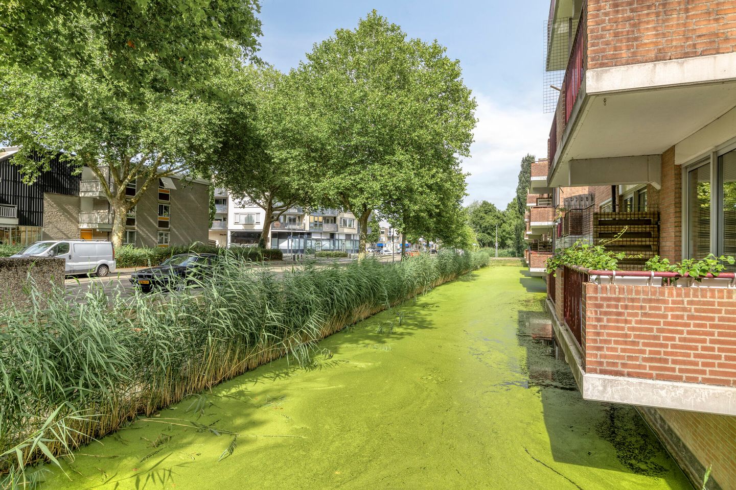 Foto 20 van Pruylenborg 147