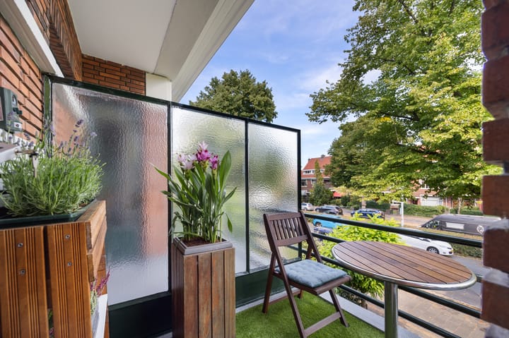 Foto 10 van Laan van Nieuw Oosteinde 380