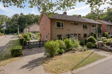 undefined main image