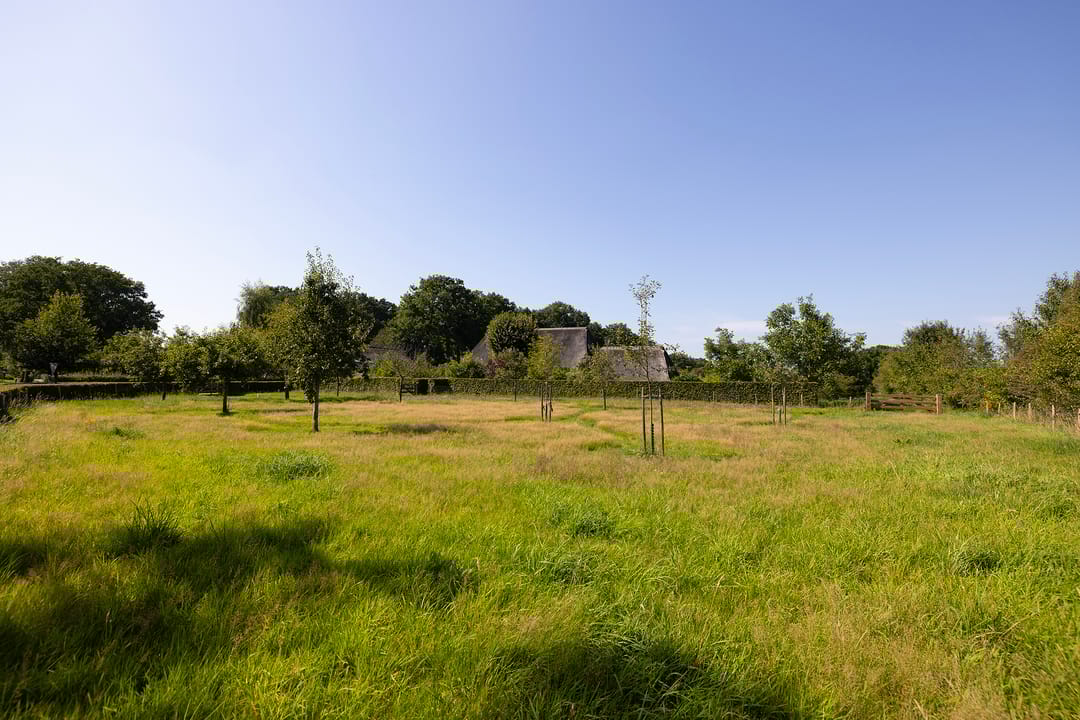 Photo 52 of Oude Courageweg 7