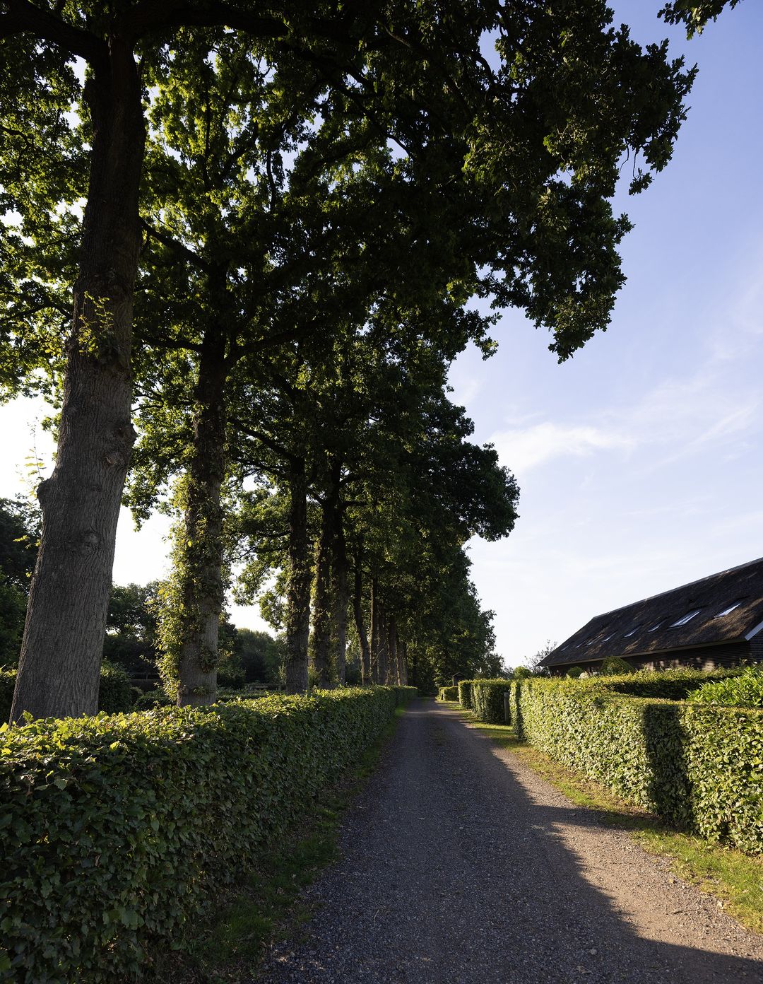 Photo 61 of Oude Courageweg 7