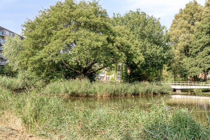 Foto 27 van Plutostraat 320