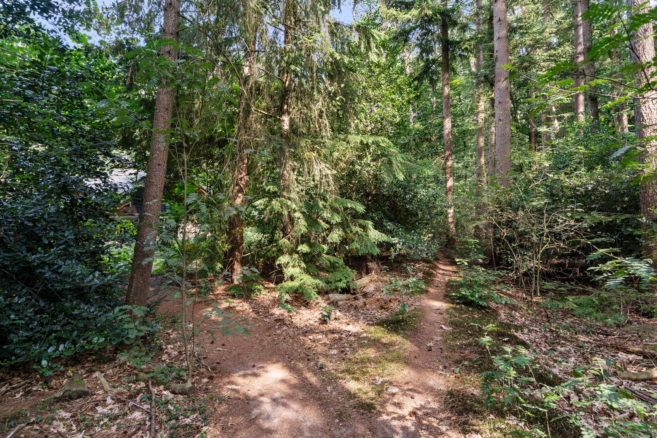 Foto 54 van Prins Hendrikweg 7