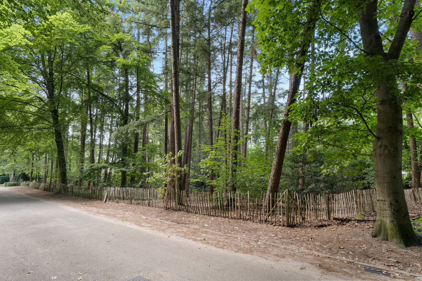 Foto 59 van Prins Hendrikweg 7