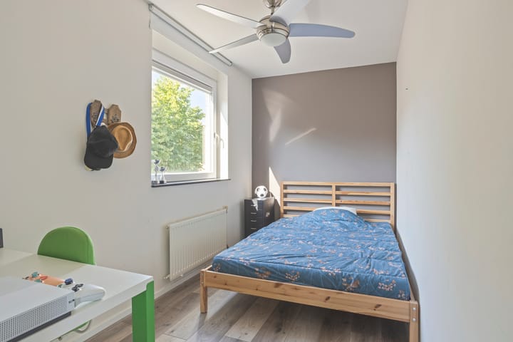 Foto 26 van Aronskelk 50