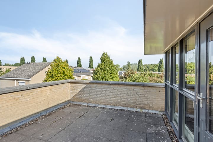 Foto 31 van Aronskelk 50