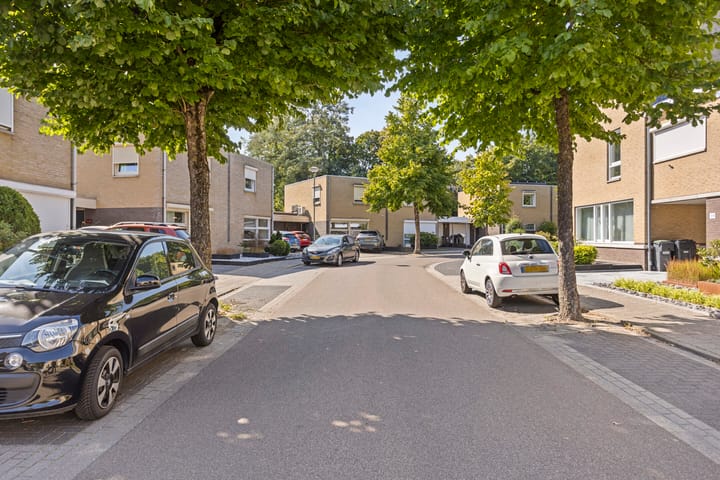 Foto 38 van Aronskelk 50