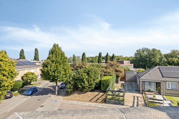 Foto 39 van Aronskelk 50