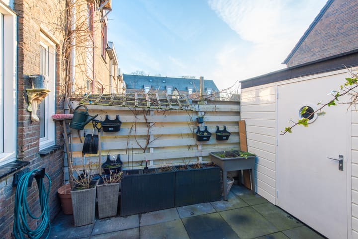 Photo 52 of Paardebloem 131