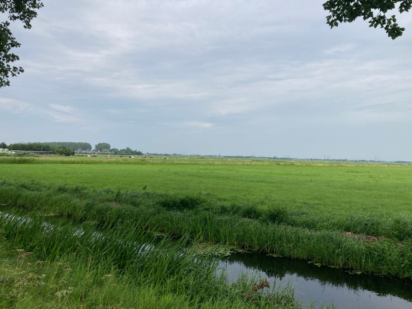 Bekijk foto 2 van Oosterholtseweg