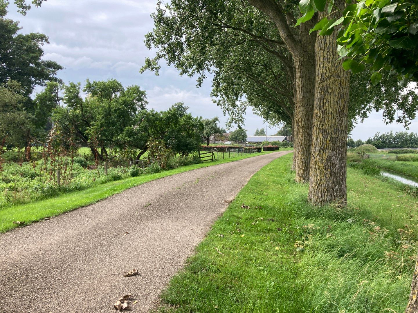 Bekijk foto 3 van Oosterholtseweg