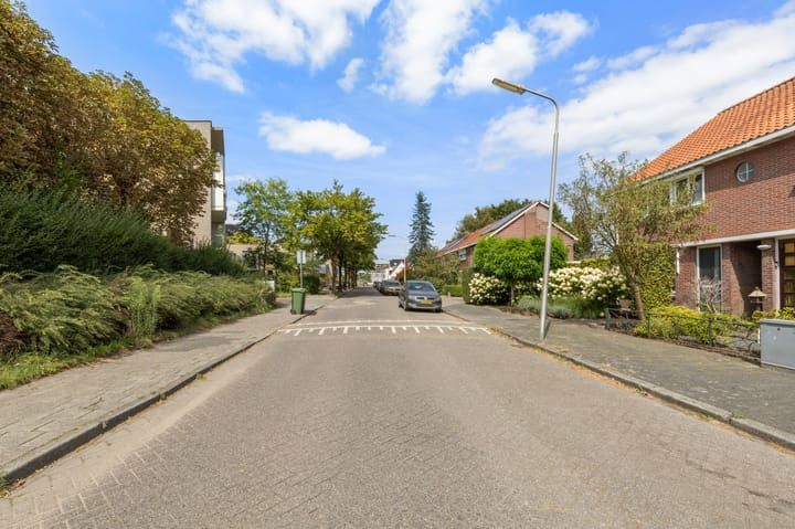 Foto 48 van Sint Theresiastraat 25