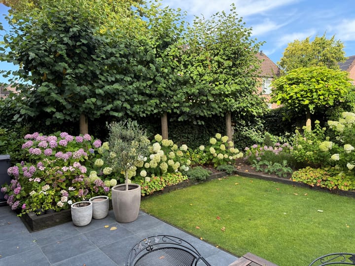 Foto 12 van Deken van Oppensingel 223