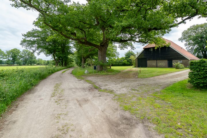 Photo 6 of Holthonerweg 14