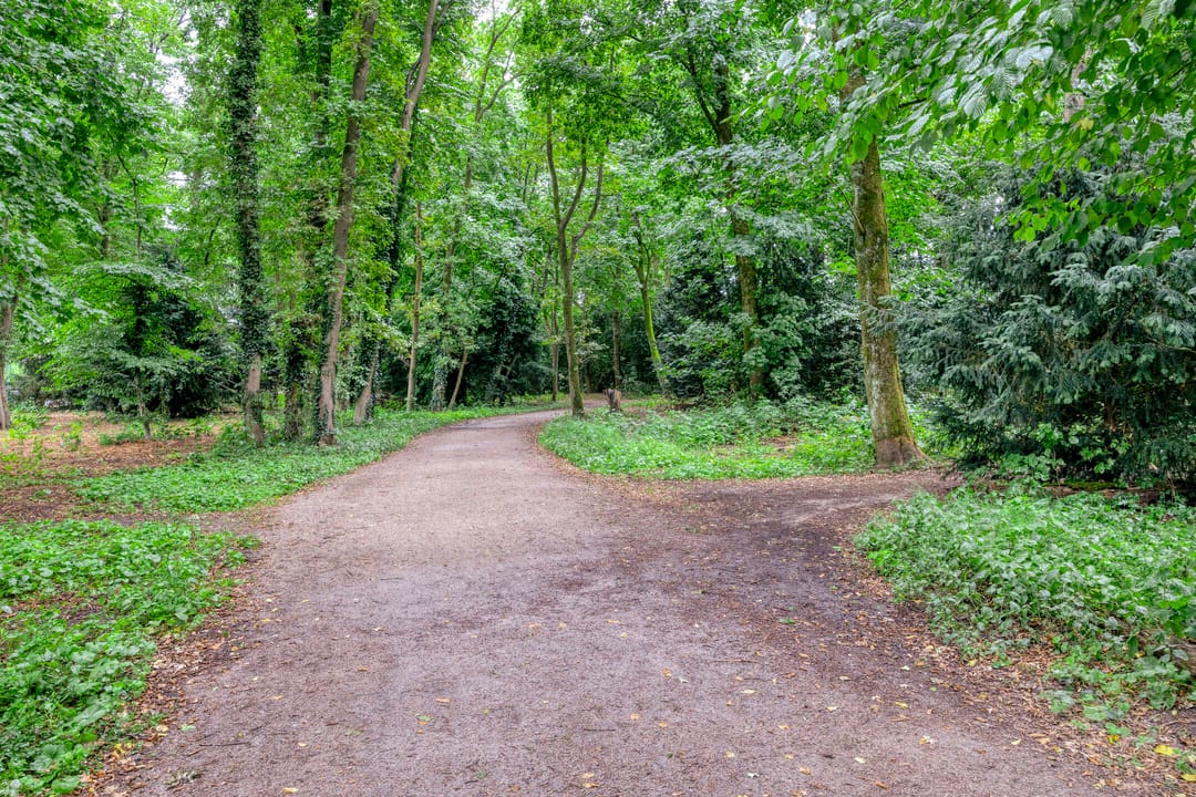 Foto 31 van Nachtegaallaan 57