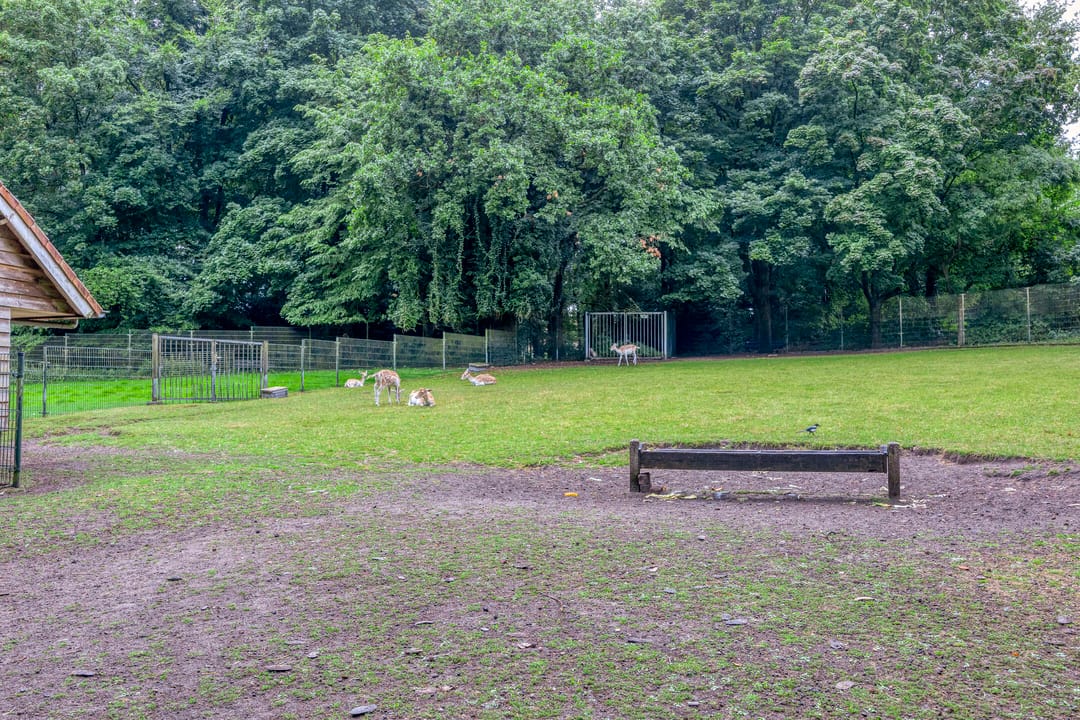 Foto 32 van Nachtegaallaan 57