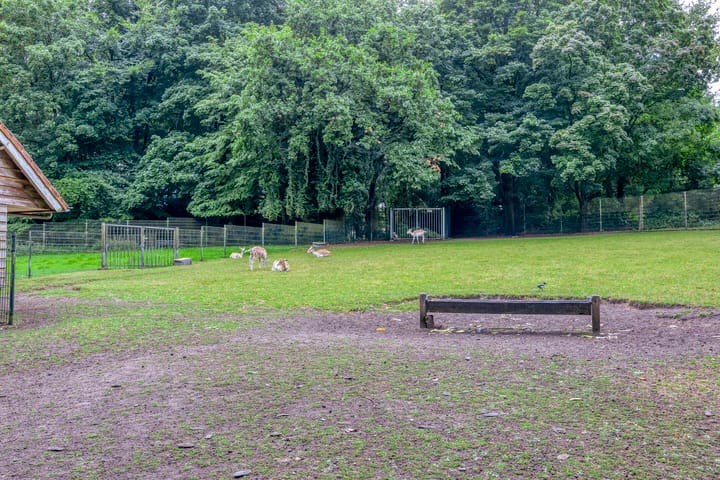 Foto 32 van Nachtegaallaan 57