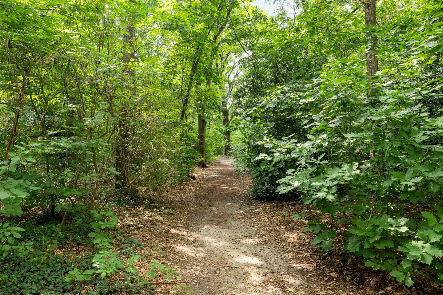 Foto 5 van Christiaan Huygenslaan 147