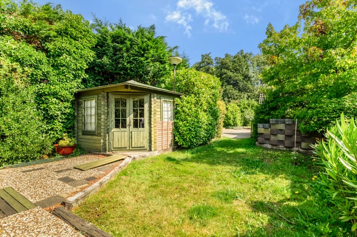 Foto 40 van Zwaluw 5