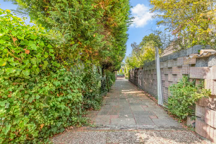 Foto 46 van Zwaluw 5