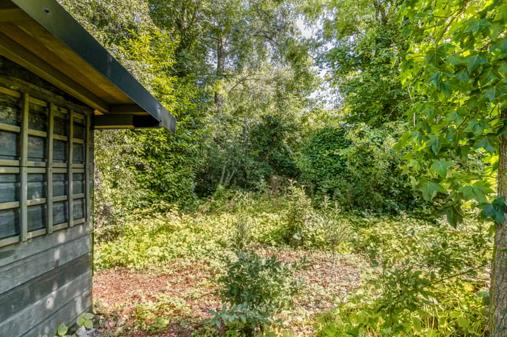 Foto 52 van Zwaluw 5