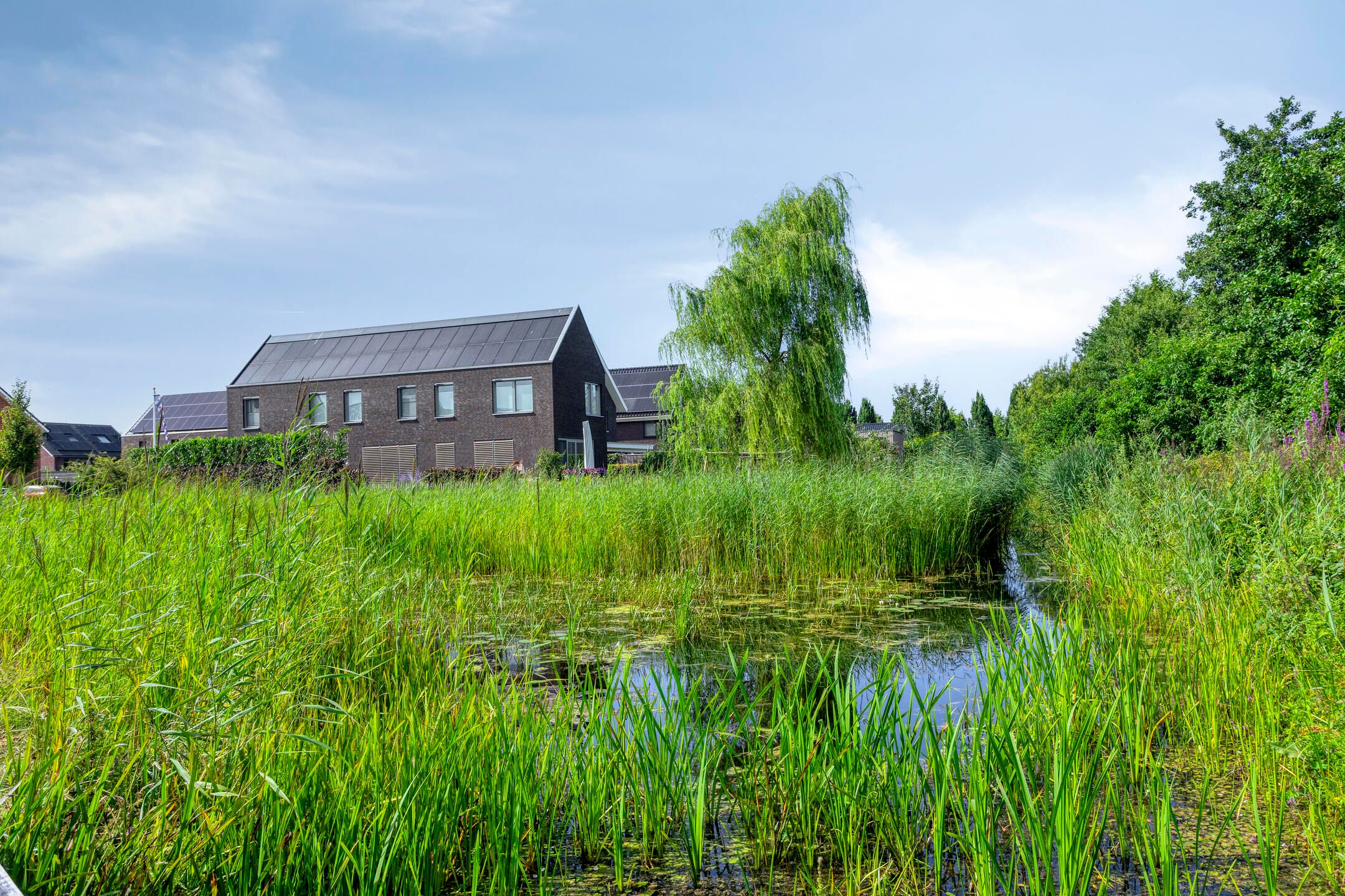 Foto 54 van Stadhouderlaan 96