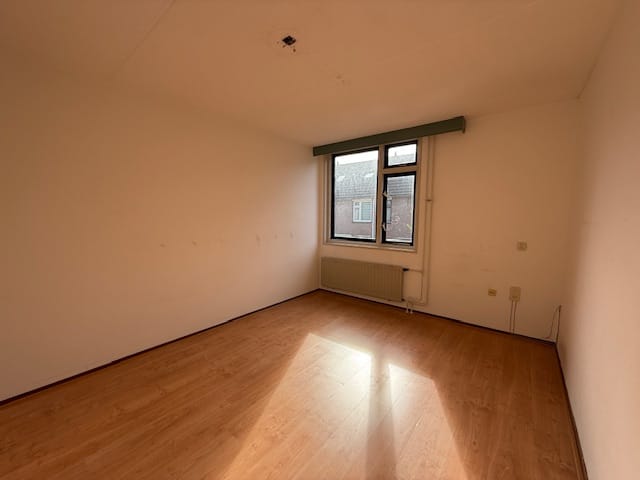 Foto 7 van Nuenveld 3