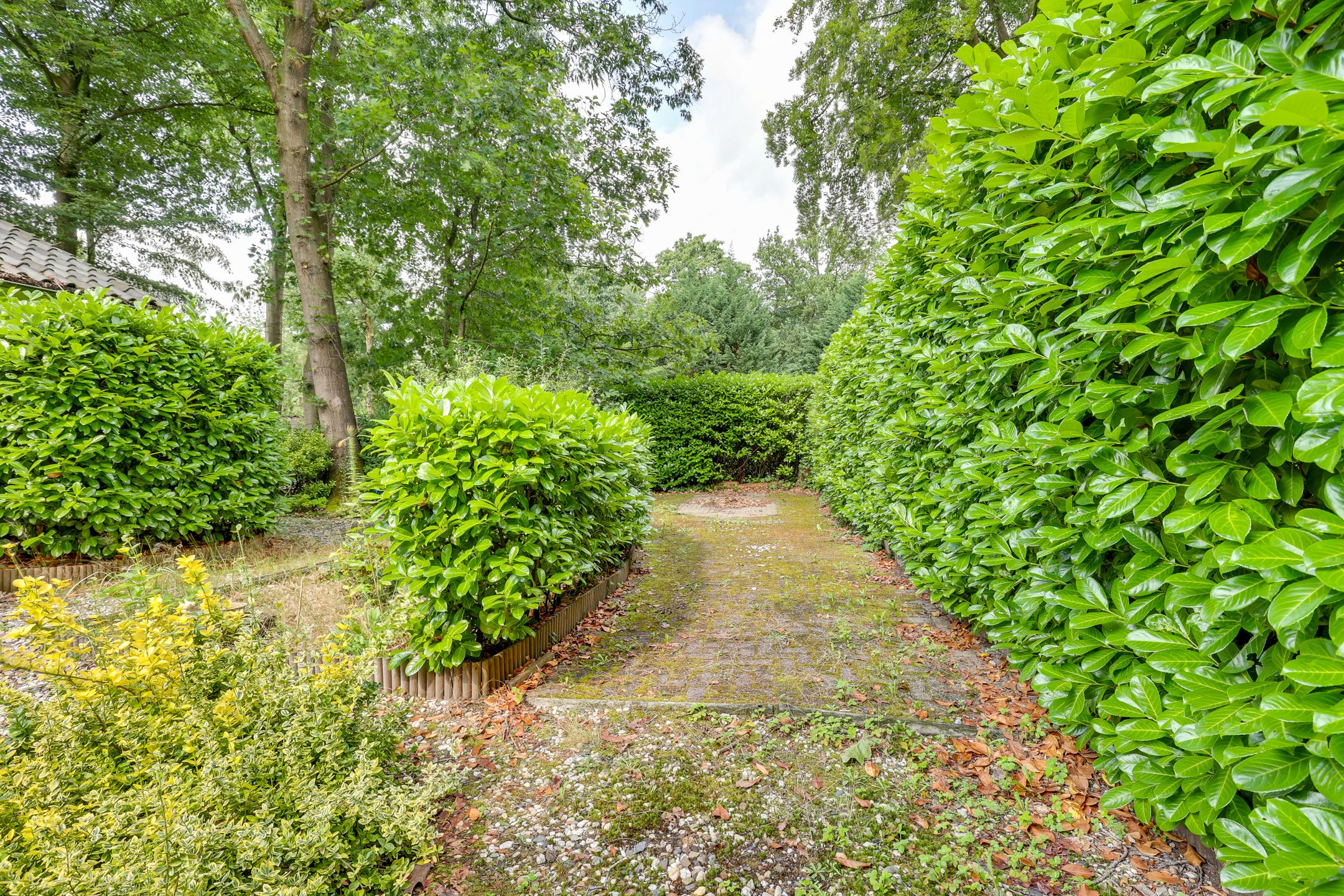 Photo 24 of Vianenweg 50