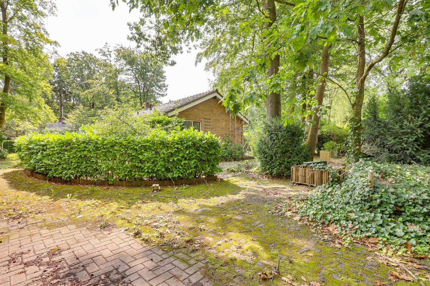 Photo 25 of Vianenweg 50