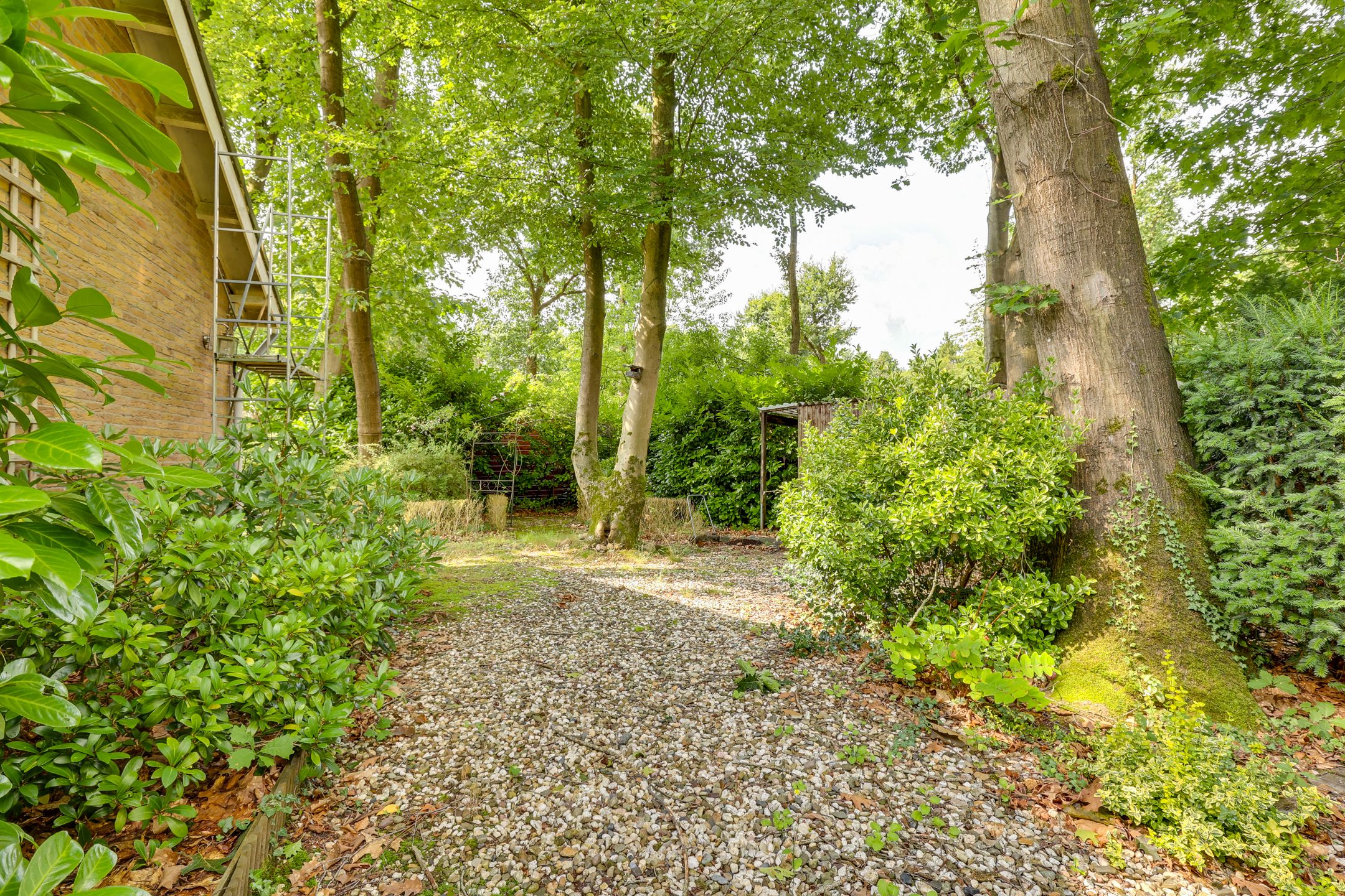 Photo 27 of Vianenweg 50