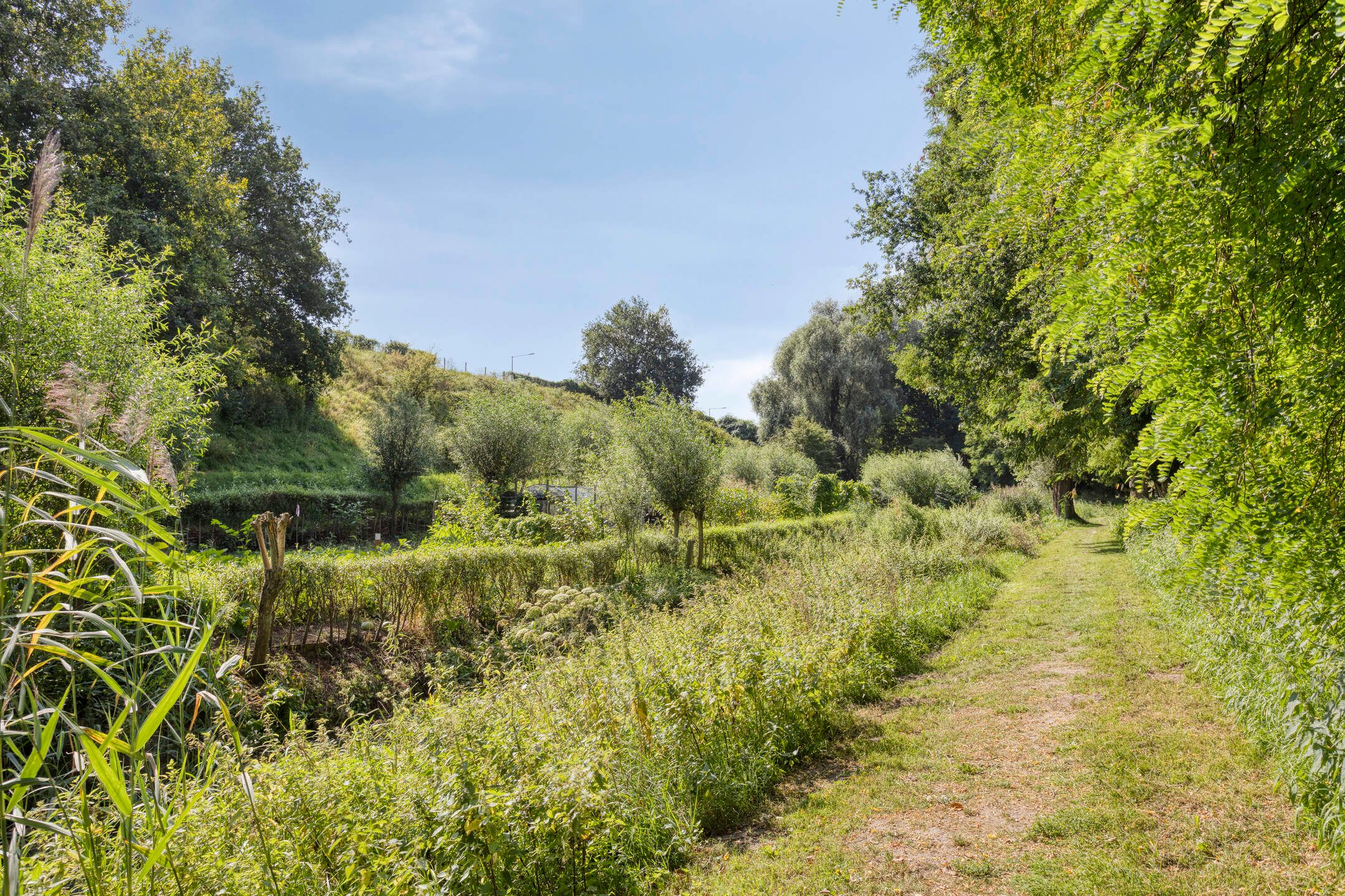 Foto 24 van Liezenbergpad 19