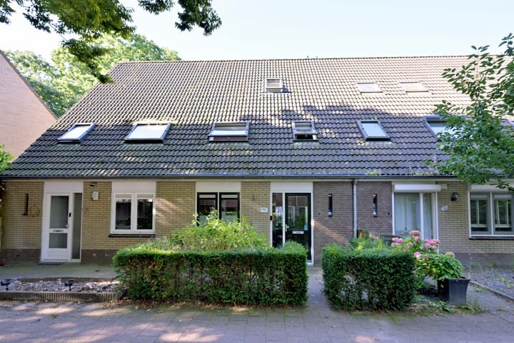 Foto 1 van Treurwilgpad 40