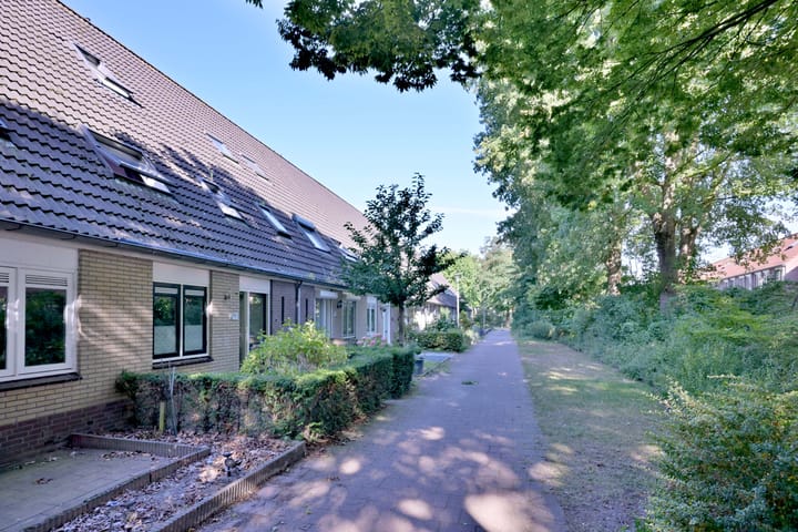 Foto 2 van Treurwilgpad 40