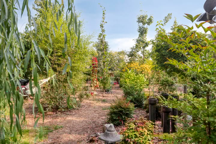 Foto 30 van Lage Ham 88