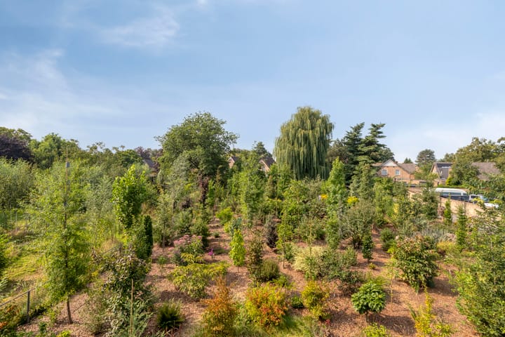 Foto 43 van Lage Ham 88