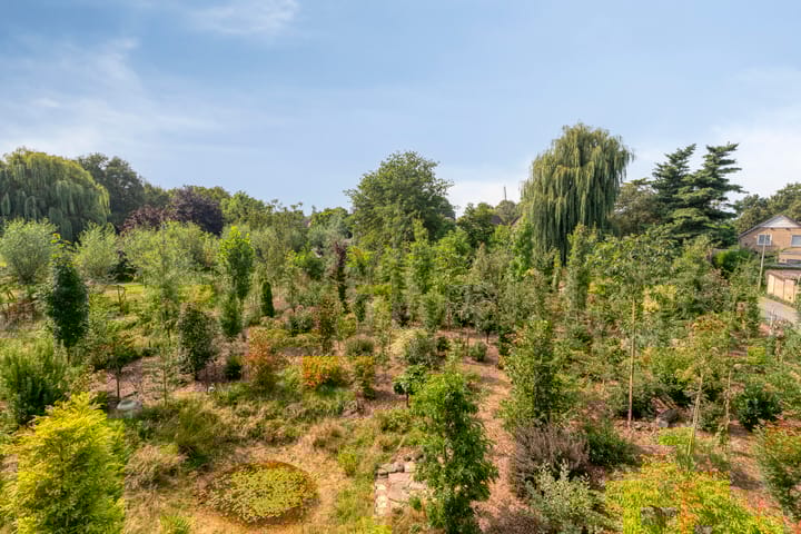 Foto 44 van Lage Ham 88