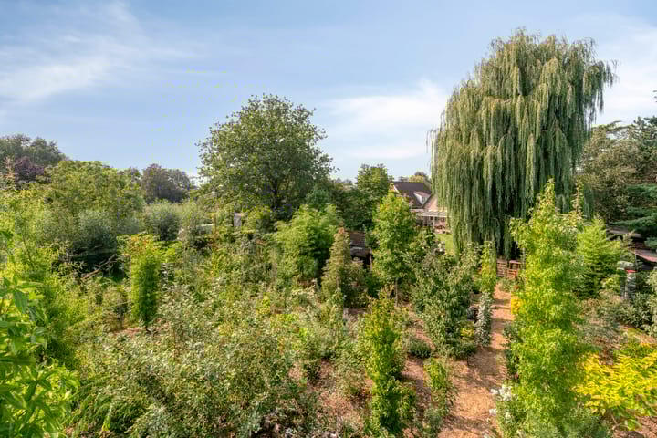 Foto 45 van Lage Ham 88