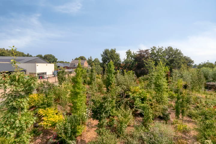 Foto 46 van Lage Ham 88