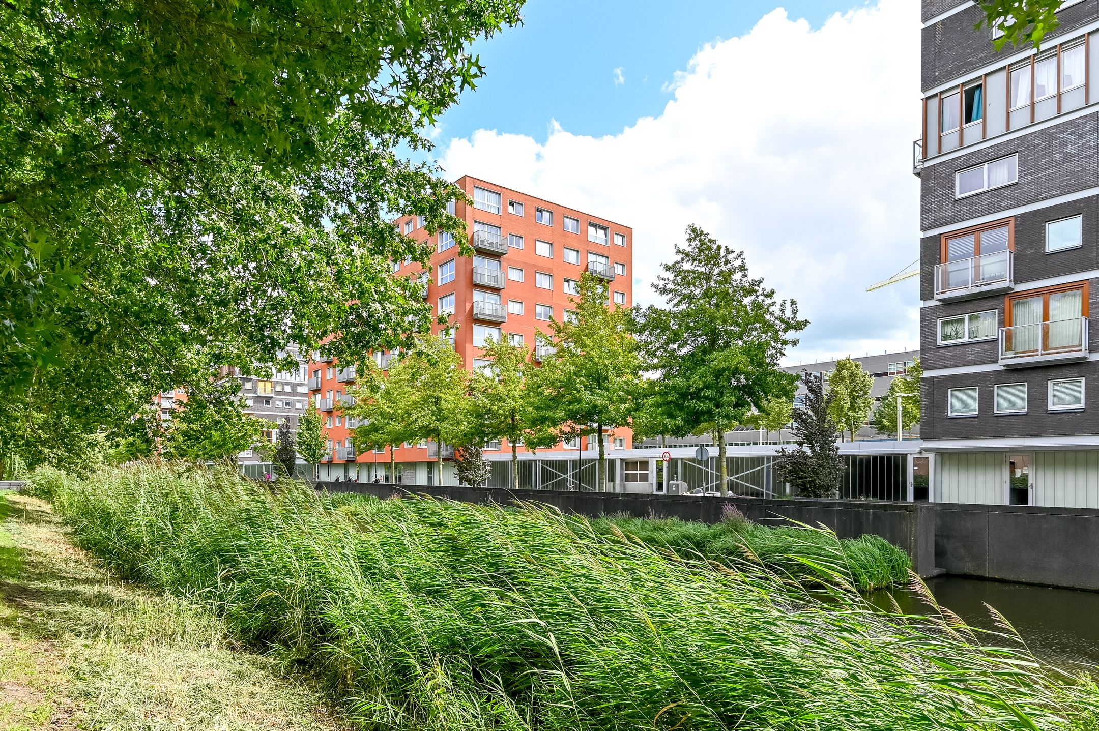 Foto 39 van Anna Blamansingel 77